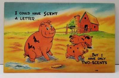 Pigs I could have Scent a Letter, But I only have two-scents Humor Postcard C14
