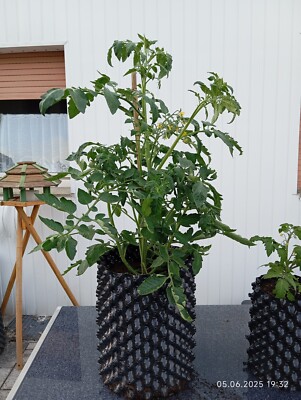 12 X Superroot Air Root Pot Grow 28,5l + 24 Ersatzschrauben 