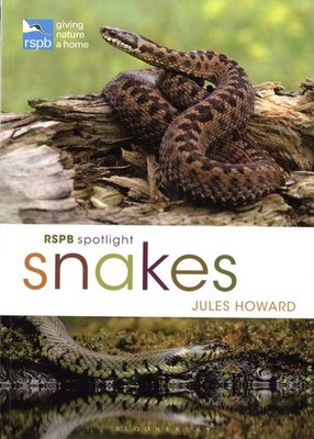 RSPB Spotlight Snakes