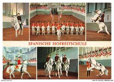 AOXP2-0131-AUTRICHE - Wien - SCHULE Reitstiefel Spanisches