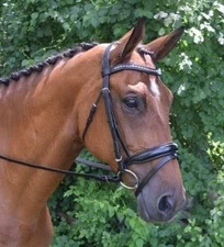 KL Select Red Barn Topline Dressage Bridle - CLOSEOUT