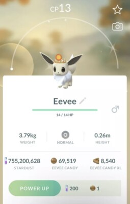   Shiny Sun Crown Eevee   Pokemon Go Registered Only  