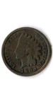 1893 Indian Head Cent — photo 1
