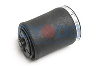 Luftfeder Fahrwerk Oyodo 40A0015-OYO FüR BMW 5Er Touring E39 520 523 525 Tds 528