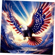O BTRC01 Diamond Art Kits - American Flag Gem Diamond Art for Men eagle