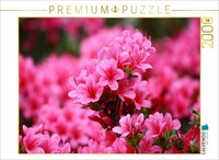 Calvendo Puzzle Azalee | 2000 Teile Lege-GrößE 90 × 67 Cm Foto-Puzzle FüR GlüCkl