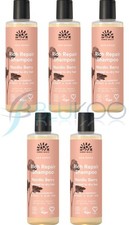 Urtekram Organic Nordic Berry Shampoo - 250ml (Pack of 5)