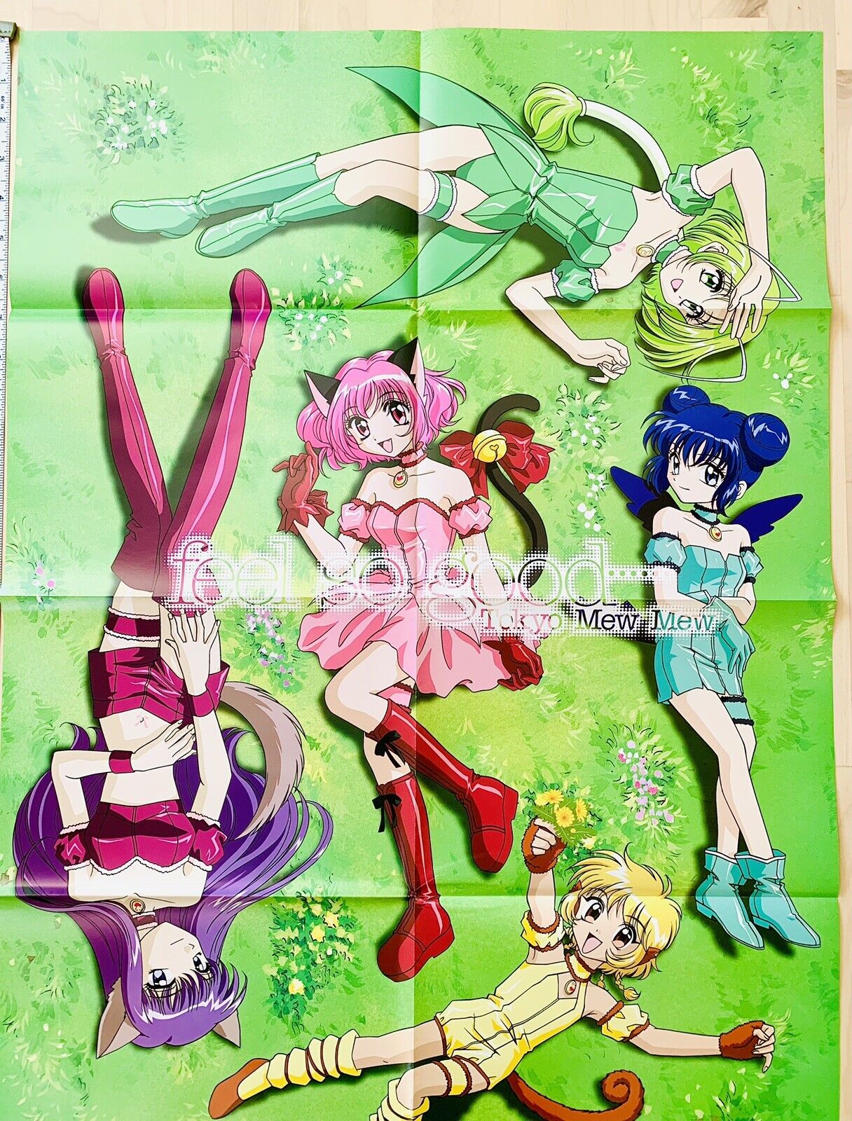 Tokyo Mew Mew New poster in my style! : r/TokyoMewMewPower