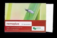 Nemaplus Sf Nematoden Gegen TrauermüCken 50 Mio.