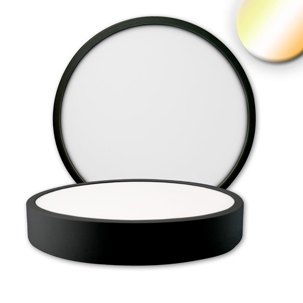 Led Deckenleuchte Pro Schwarz, 24W, Rund, DN225, Colorswitch 2700|3000|4000K, Di-image