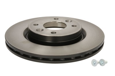 Bremsscheibe TRW DF2586 vorne, belüftet, 1 Stück
