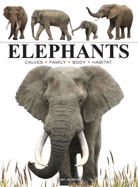 Elephants by Tom Jackson (Paperback Book)