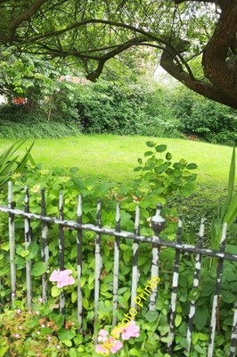 Foto 12x8 Upper Berkeley Place\/Byron Place, Bristol Clifton\/ST5673 A tr c2016