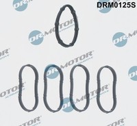 Dr.Motor Automotive DRM0125S Dichtungssatz AnsaugkrüMmer FüR Dacia Nissan Opel