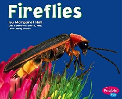 Fireflies Hardcover Margaret Hall