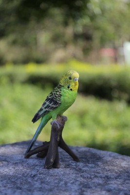 Small Budgie on Branch Parrot Bird Garden Statue Home Garden Decor For Bird Love