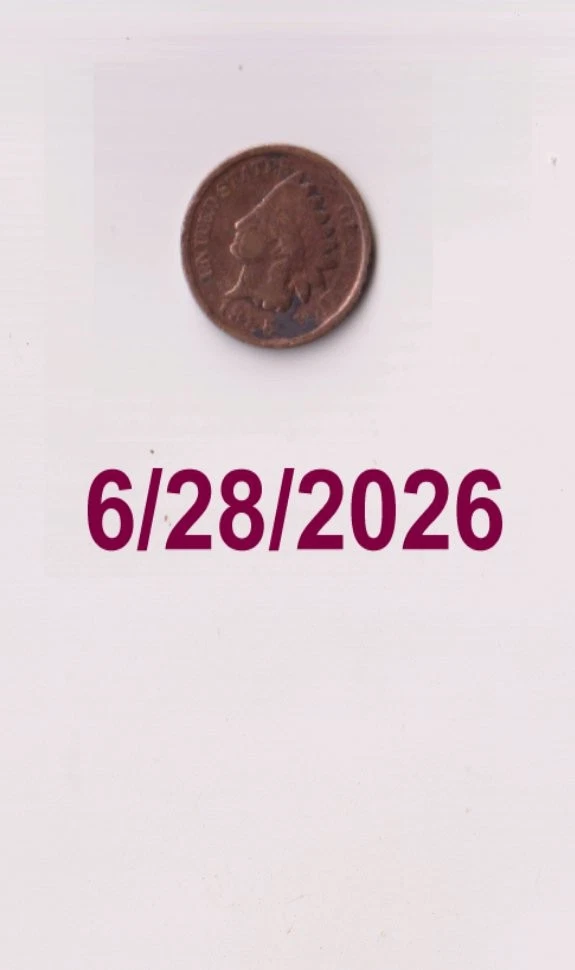 1885 Indian Head Small Cents for sale | eBay
