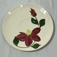 Blue Ridge Southern Pottery Floral Coffee Saucer Painted Flower Winnie Vintage