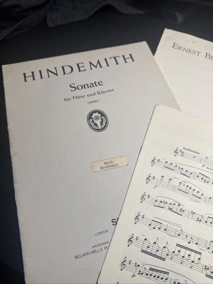 Gran lote de música de flauta - Fauré, Hindemith, Bloch, Andersen, Moyse, Cavally Foto 2 de 4