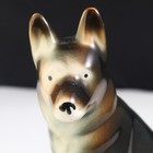 Bild 7 von 7