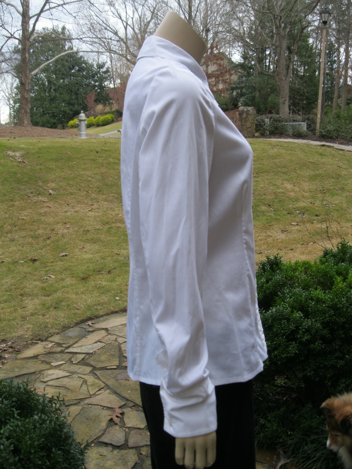 Picture 3 of 7