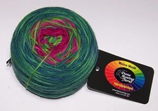 4oz Done Roving FROLICKING FEET TRANSITIONS HandPainted Merino Yarn EASTER CACTU