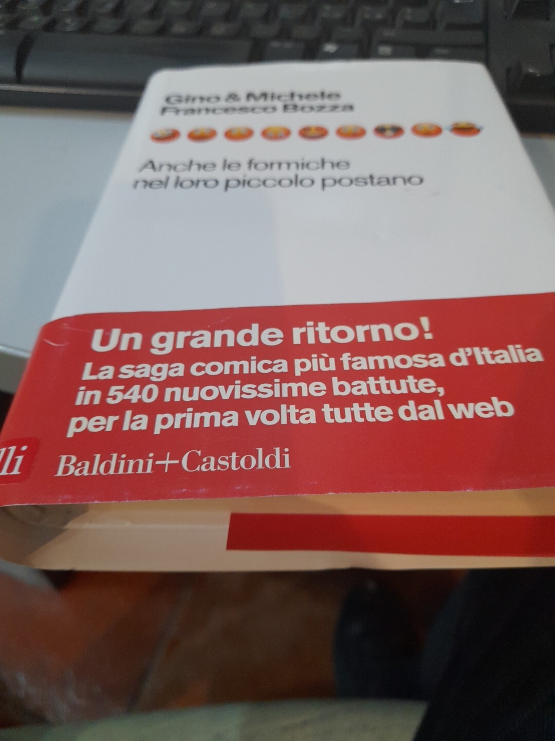 Gino E Michele Francesco Bozza - Anche Le Formiche Nel Loro Piccolo Postano