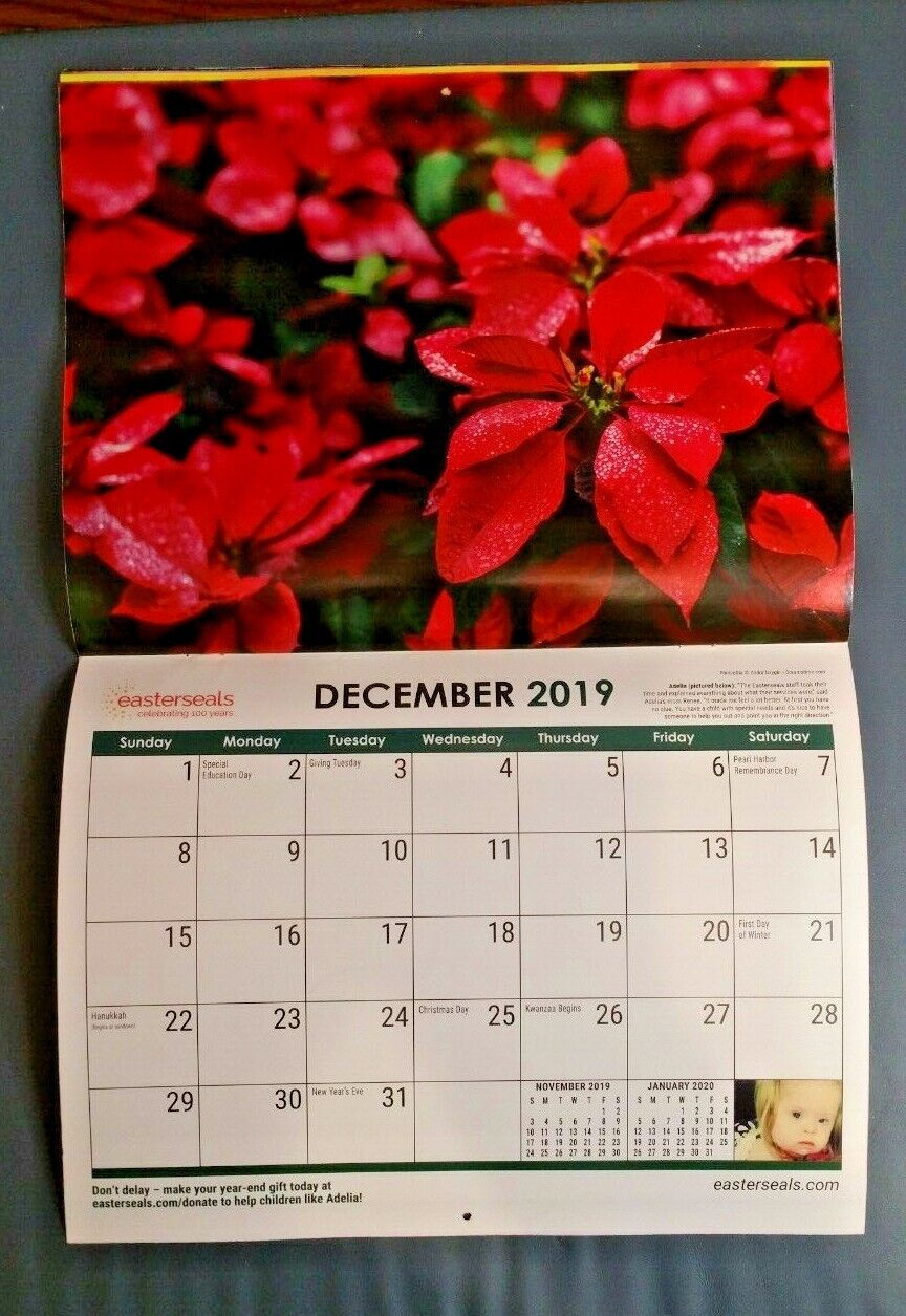 2019-easter-seals-calendar-w-beautiful-floral-flower-pictures-ebay