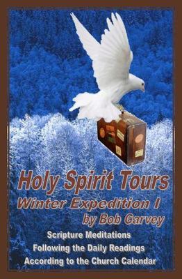 Holy Spirit Tours: Winter Excursion by Garvey, Bob, Brand New, Free shipping ...