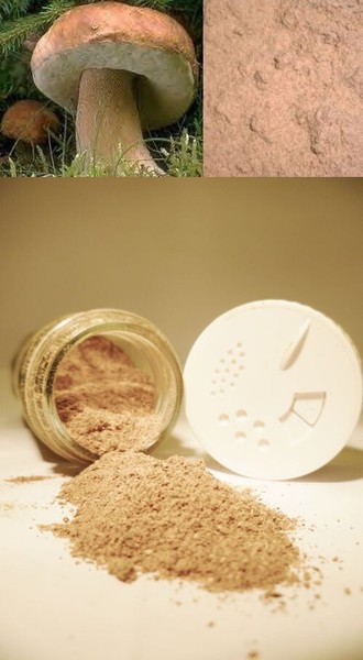 Polvo de hongos de piedra 100% hongos de piedra molidos 2x50g en esparcidor calidad 1A para sazonar