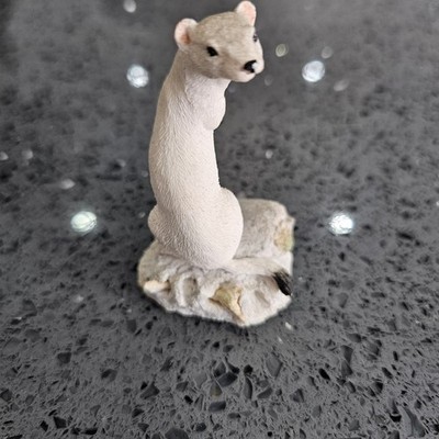 Border Fine Arts BFA Society B1374 im Hermelin Stoat mit weißem Wintermantel