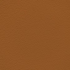 Lexus Caramel Tan Leather Dye