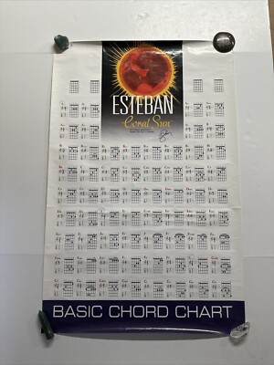 ESTEBAN Guitar Chord Chart Poster LIMITED EDITION Steel String autosigned 22x34