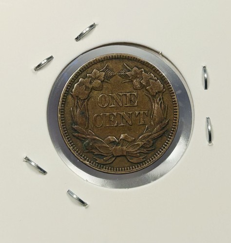 1857 Fliegender Adler Cent  - Bild 2 von 2