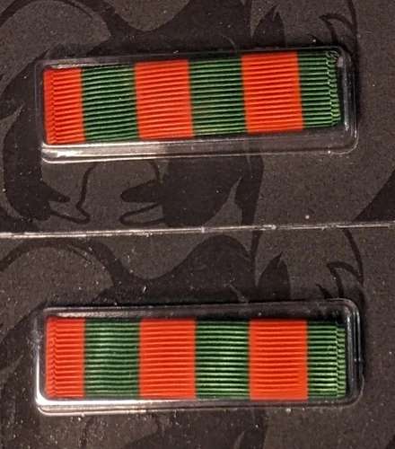 CORRECT SIZE - TXSG Recruiting Ribbon - Moiré Ribbon Made in USA -New-Set of 2