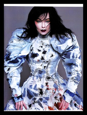 alexander mcqueen bjork