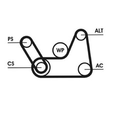 Continental Ctam Keilrippenriemensatz 2S6E6C301CB 2S6E6C301DB 6PK1019 ELAST T1
