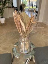20-stems Mix Real Palm Pampas Grass 19-20 in