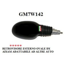 SPECCHIETTO ESTERNO DESTRO AIXAM DAL 97 AL 2009 GM7W142