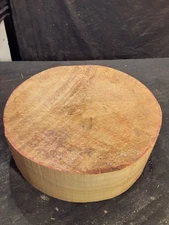 One Piece Dry Aspen Bowl Blank 3  x 9  1/2" Lathe Turning  NOV314