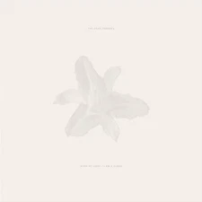 THE DEAD TONGUES BODY OF LIGHT/I AM A CLOUD NEW LP