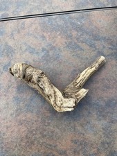 Natural Driftwood for Plants Terrarium Taxidermy Art Projects