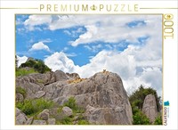 Calvendo Puzzle Lion Cubs | 1000 Pieces, Finished Size 25.2 × 18.9 In (64 × 48 C