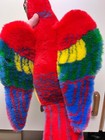 Bild 2 von 7