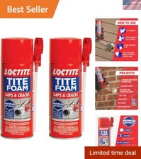 Compact Water-Resistant Spray Foam Sealant - 12 fl oz x 2, Perfect for Sealing