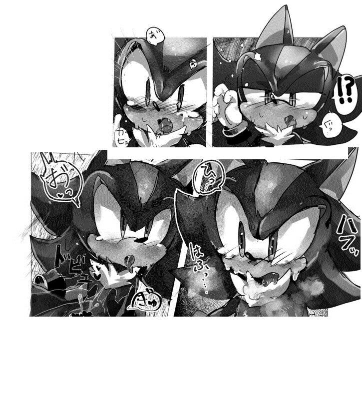 Sonic the Hedgehog Doujinshi Sonic , Silver , Shadow (B5 20pages 