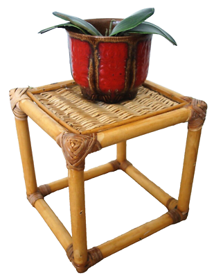 cactus 200 maßstab Saguaro Cactus 6ft – Urban Spikes