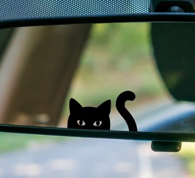 Cat Peeking Vinyl Decal V2 | Hidden Easter Egg Sticker | Funny Window Car Art