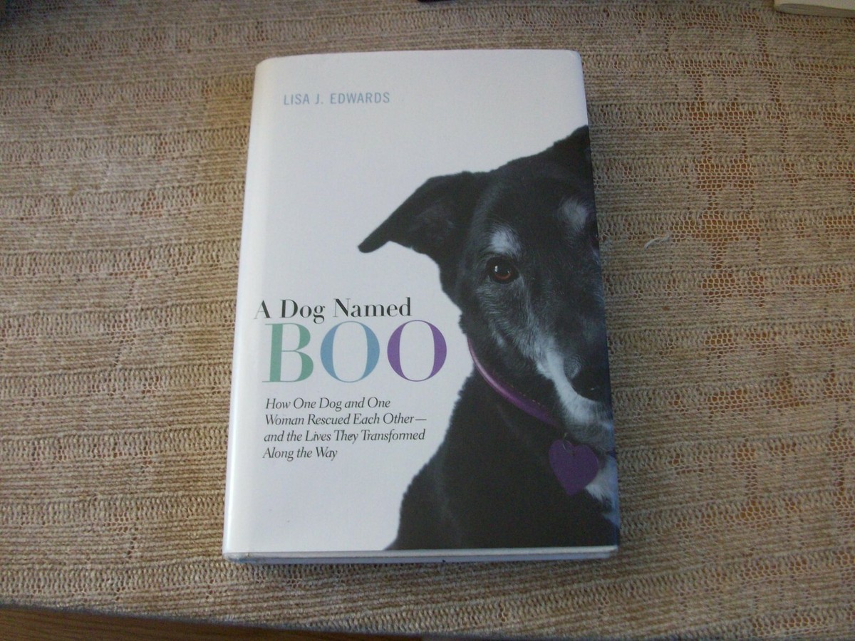 A Dog Named Boo: How One Dog and One Woman Rescued Each Other--and