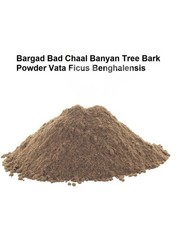 Indian Bargad Bad Jad Banyan Tree Root Powder Ficus benghalensis